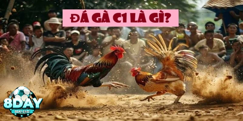 Đá Gà C1 Là Gì? Khám Phá Hình Thức Giải Trí Đẳng Cấp Nhất 1 Tìm hiểu về đá gà C1 là gì?