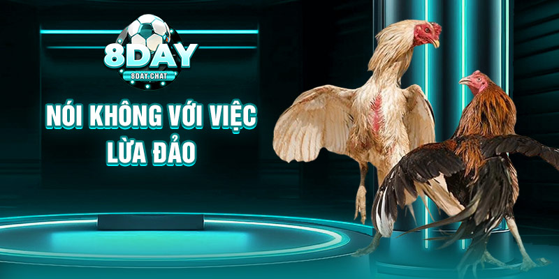 Nói không với việc lừa đảo Nói không với việc lừa đảo